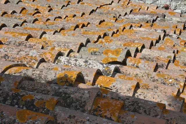 roof, shingles, tile. Comparing Shingle Brands: What the Price Difference Actually Buys