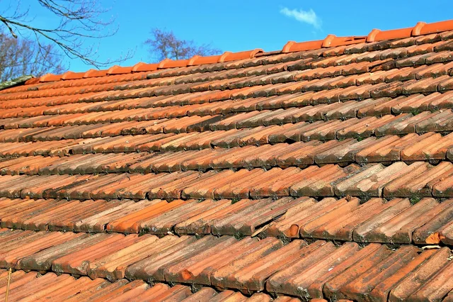roof tiles, roof, red, brick, roofing, weather, weather protection, orange, roofers, natural stone, roof, brick, roofing, roofers, roofers, roofers, roofers, roofers. Roofing contractor services packages: build the menu