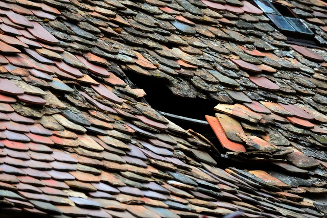 roof, roof tiles, roof damage, housetop, structure, roofing, skylight, building, tile roof, craft, roofers, brick, template, old, expired, demolition, roof damage, roof damage, roof damage, roof damage, roof damage. A Guide to HST and PST on Roofing Quotes in Ontario