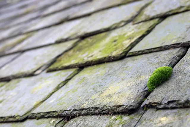 slates, moss, building, old, roof, roofing, structure, grey, weathered. How roofing contractors set up local search: profile, photographs, reviews, pages