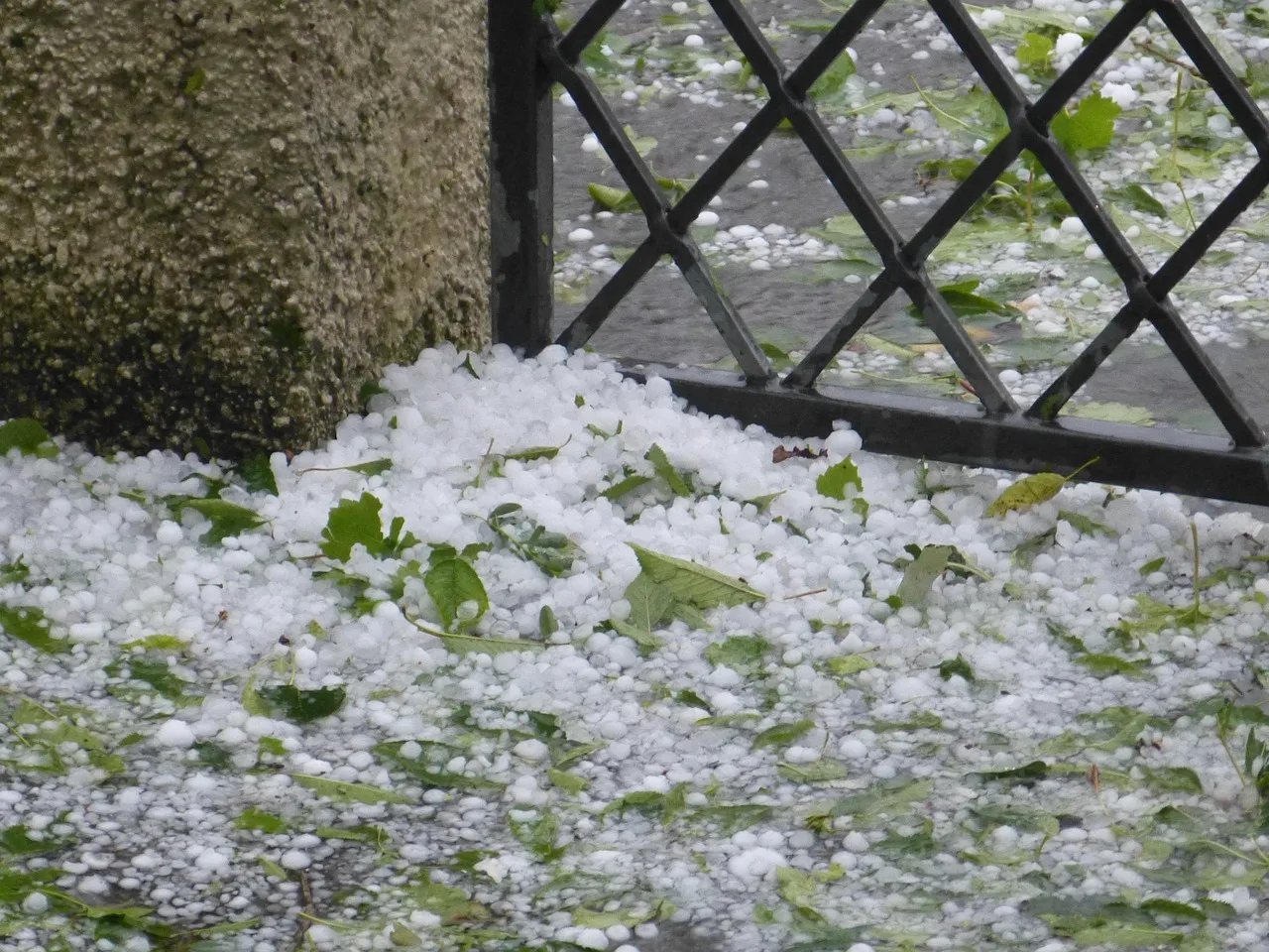 hail, precipitation, hailstones, storm, hail, hail, hail, hail, hail. Calgary and Edmonton roof replacement cost factors: hail, snow load and permits