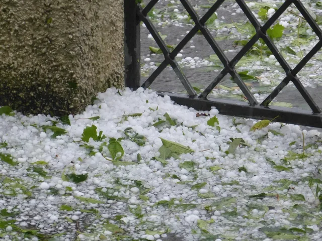hail, precipitation, hailstones, storm, hail, hail, hail, hail, hail. Calgary and Edmonton roof replacement cost factors: hail, snow load and permits