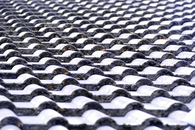 roof tiles, roof, roofers, housetop, brick, house, roofing, architecture, structure, building, craft, tile roof, roof panels, roof tiles, roofers, roofers, roofers, roofers, roofers, roofing, roofing. How Toronto roofers build quotes around Toronto Building permits and dump fees