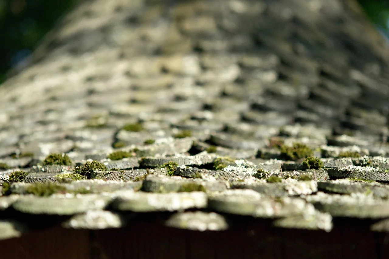 roof, shingles, wood, wooden roof, architecture, brick, moss. Why US shingle prices and building codes do not transfer to Canadian roofers