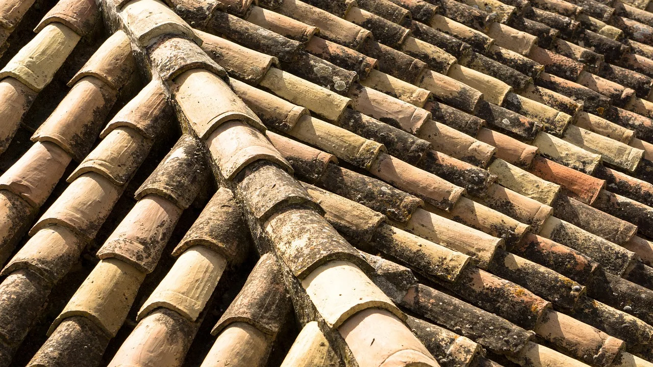 clay roof, slate roof, tile roof, ceramic roof, pattern, roof, slate, construction, texture, tile, roofing, building, architecture, rooftop, exterior, shingle, clay, ceramic, brown construction. Roofing contractor business plan: the sections and evidence to attach