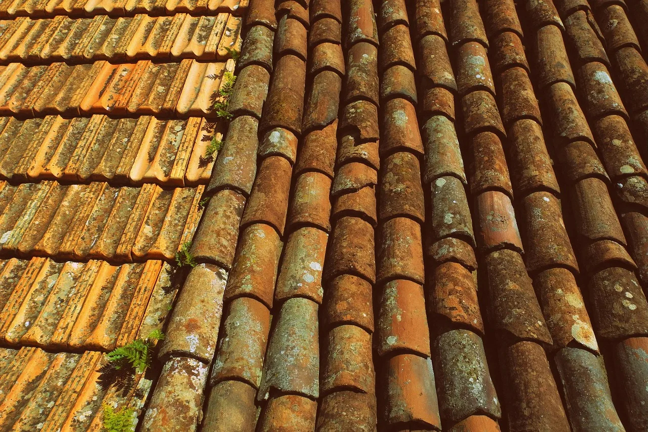 tiles, roof, slate, clay, terracotta, roofing, texture, pattern, rooftop, house roof, tiled, tiling. Roofing contractor quote template: price and payment wording