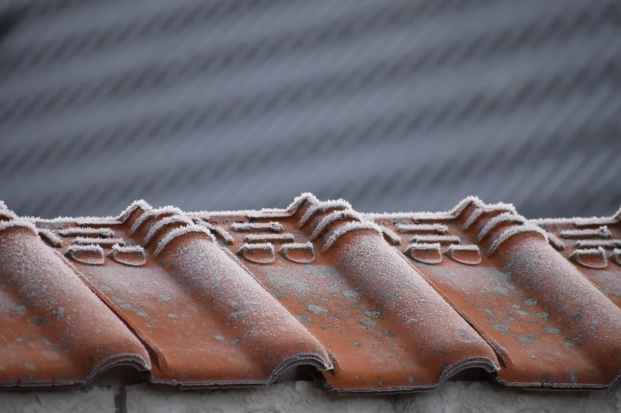 roof tiles, freeze, frozen roofs, roofs, roofing, hoarfrost, frosty, winter, freezing, frozen, frost, nature, cold. Roofing contractor software and KPI guide