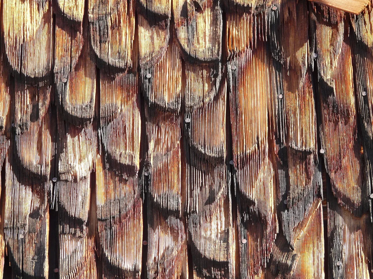 shingles, wood, roofing, facade cladding, wood clapboard, grain, building, wall, disguise, architecture. Three-Tab versus Architectural Shingles: What Changes on a Quote