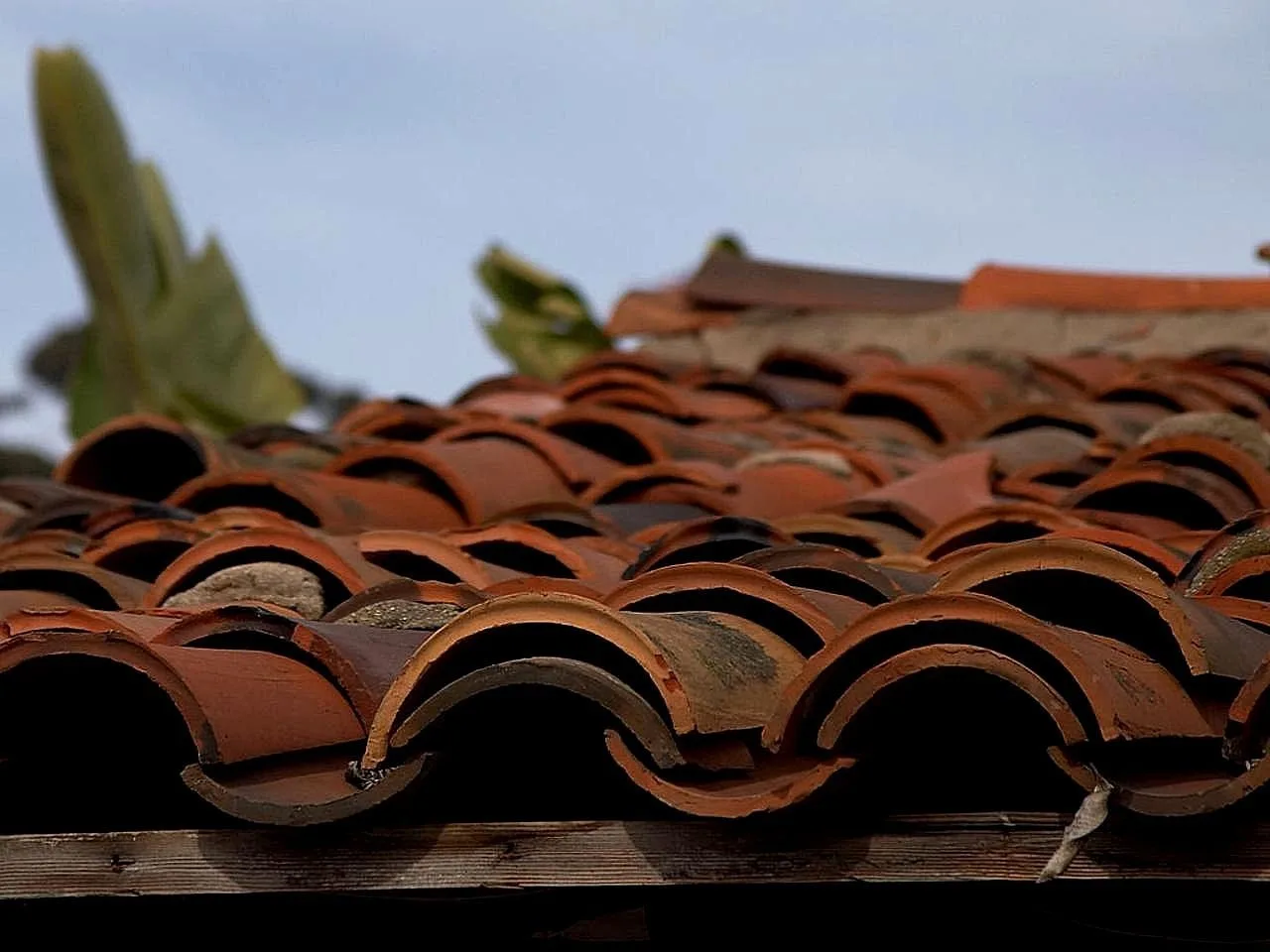 tiles, roofing, clay, terracotta, roof, house, construction, rooftop, tiled. What Should Roofing Quote Include California?